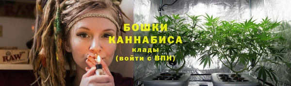 бошки Богородицк