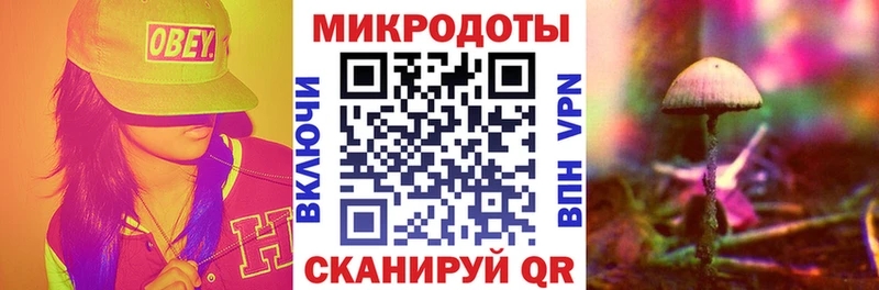 Галлюциногенные грибы MAGIC MUSHROOMS Саяногорск