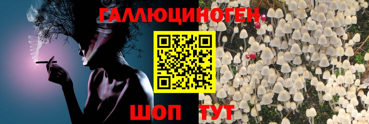 Саяногорск  Галлюциногенные грибы ЛСД  Вход с VPN 